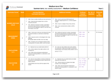 Year 1 Medium Term Planning for Summer Term with Medium Confidence Assessment Schedule download