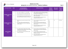 Year 4 Medium Term Planning for Spring Term with Medium Confidence Assessment Schedule download