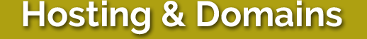 Website Hosting and Domain Services